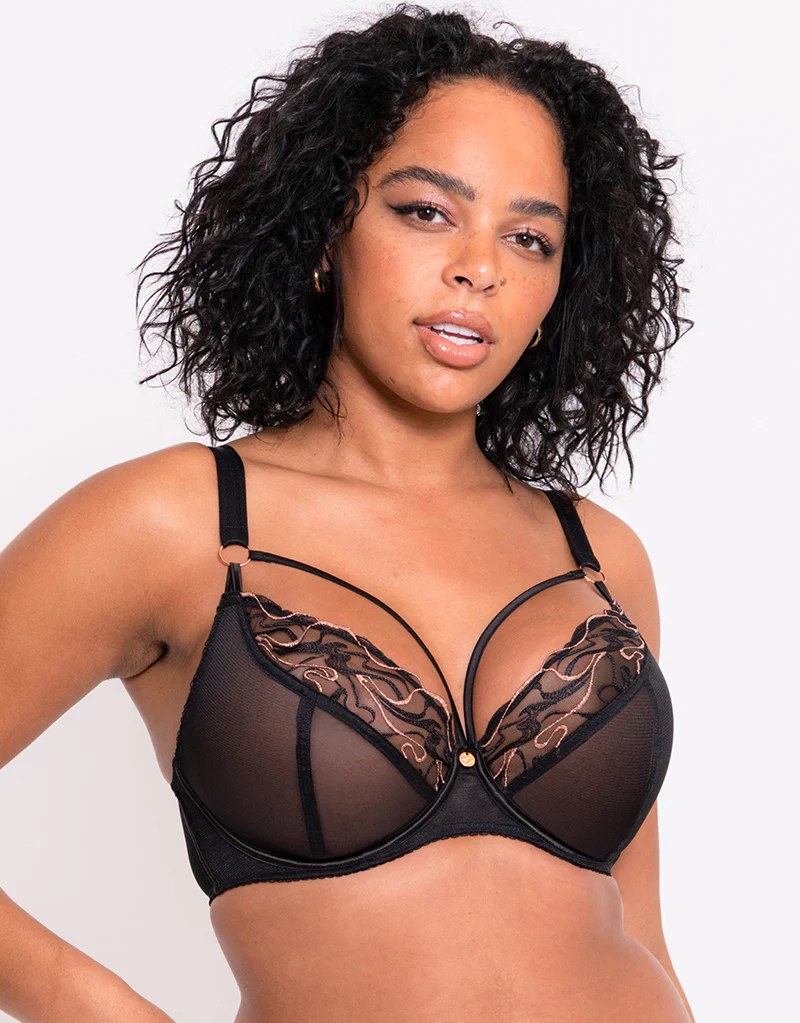 Scantilly Fascinate Plunge Bra Black - Image 4