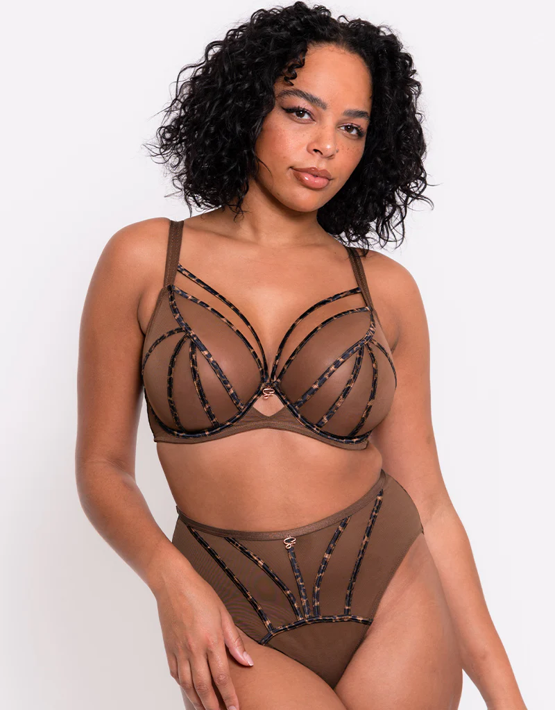 Scantilly Senses Plunge Bra Leopard Brown - Image 3