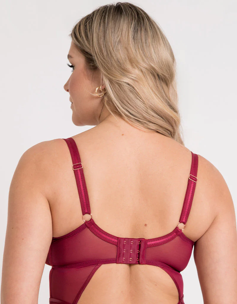 Scantilly Suspense Plunge Bodysuit Sangria - Image 5